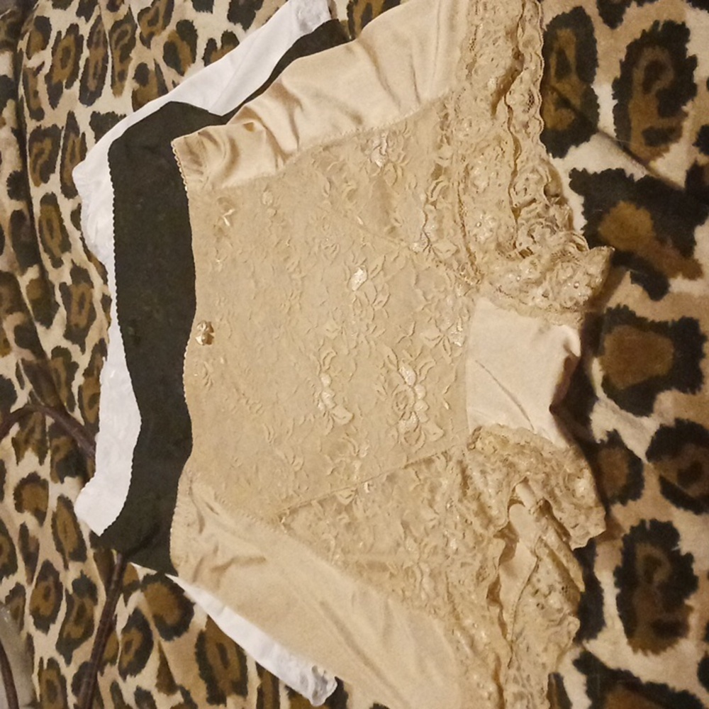 Rhonda Shear Pin Up Lace Control Panty Set Of 3 Pair - White, Tan, Black